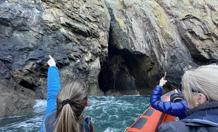 Ramsey Island boat trip